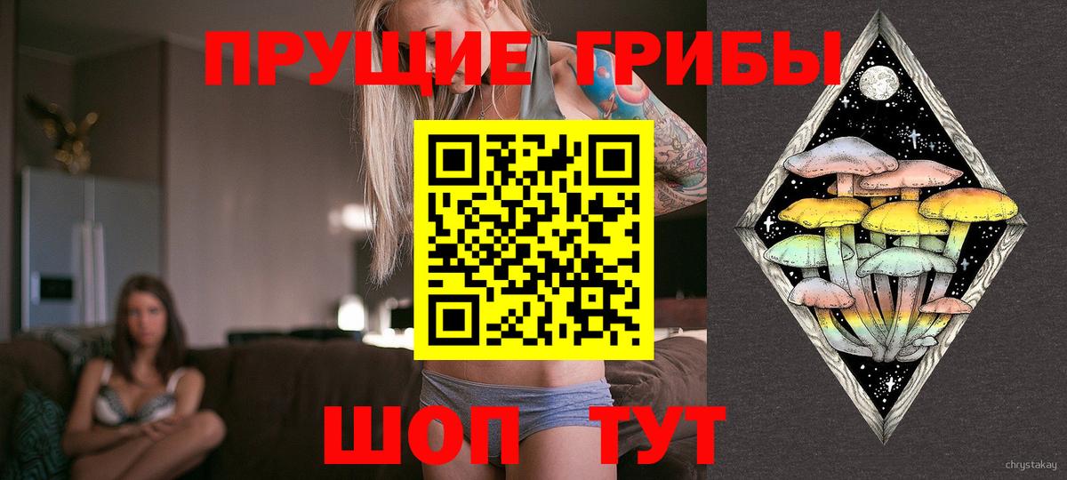 Псков  Галлюциногенные грибы MAGIC MUSHROOMS  что такое   Вход с VPN 