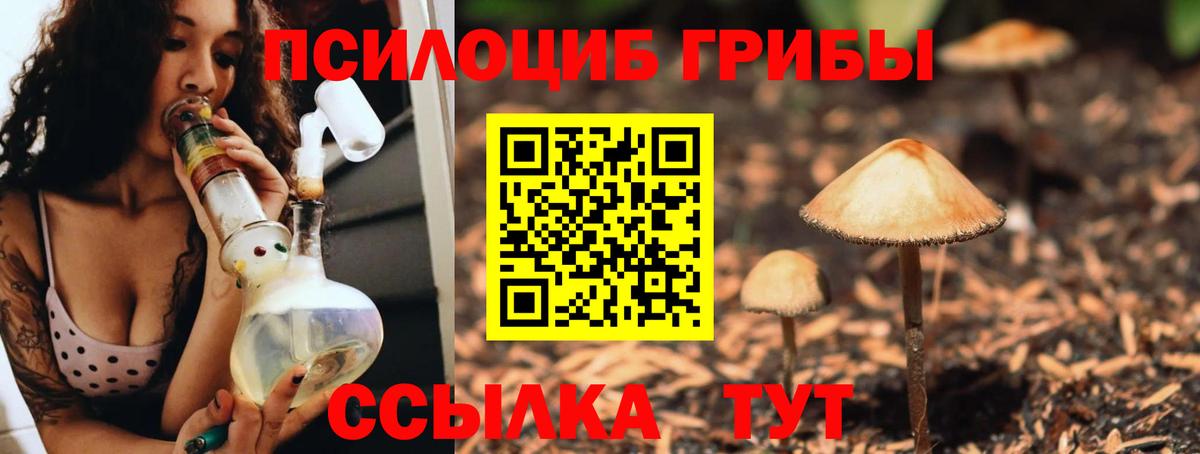 Псилоцибиновые грибы MAGIC MUSHROOMS Псков